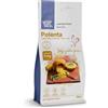 Wholefood Earth - Polenta, farina di mais, senza OGM, vegana, senza latticini, senza zuccheri aggiunti, 2 kg