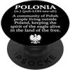 It's A Polish-American Thing Poland Heri Polonia Definizione Polish-American Eagle Heritage PopSockets PopGrip Adesivo