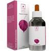 IBERSAN Srl RIBES NIGRUM 100ML MG HORTI CELATI