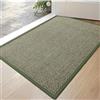 DEXI Zerbino Ingresso 43 x 76 cm, Tappeto Interno Antiscivolo, Fondo in Gomma, Facile da Pulire, Zerbini Assorbente Sporco e Umiditàin per Porta, Corridoio, Cucina, Verde