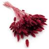 Enchanted Dekogras - Erba secca ornamentale a coda di coniglio, Lagurus Ovatus, erba di velluto, erba della coda di coniglio, fiori secchi, naturale, boho, 120 - 150 pezzi, 100 g di vino rosso