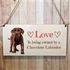 Second Ave Gift Company Second Ave Chocolate Labrador Dog - Targa in legno da appendere, regalo rettangolare