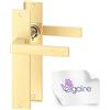 ERGO line CUBE guarnizione quadrata per porte, oro opaco, maniglia con piastra di copertura cieca (senza apertura) set di maniglie con piastra di copertura lunga, maniglia, Ottone spazzolato