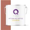 Q-COVER Voc - Vernice in lattice, lavabile, 5 l (circa 35 m²), colore Rosso mattone, colore per interni, colore da parete, classe 2, colore opaco, per chi soffre di allergie, resistente all'abrasione