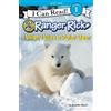 Jennifer Bové Ranger Rick: I Wish I Was a Polar Bear (Tascabile)
