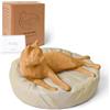 Cuayaes Statuette di gatto arancione, regalo commemorativo per amanti dei gatti, donne e uomini, statua decorativa in resina per casa, mensola, scrivania da ufficio, decorazioni per soggiorno