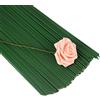Anawakia Filo di ferro fiore verde Stem Wire Floral Stem filo per bouquet di filo di ferro filo di fiore di calibro asta imballaggio fiorista 40 cm (50 pezzi)