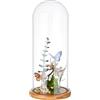 BENECREAT Copertura In Vetro Trasparente per Fiori Eterni Da 11.7x30cm, Vaso A Campana In Vetro con Base In Legno Massello Color Marrone Sabbia per Creazioni Floreali Fai Da Te