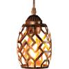 TWSXTE E27 Sospensione vintage plafoniera industriale retrò, lampadario a gabbia in stile illuminazione interna, decorazione corda regolabile