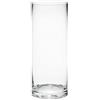 Oasis Vaso cilindrico in vetro, 30 cm x 12 cm