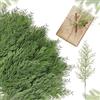 chenyu Ramo di Pino Artificiale 50 Pezzi Rami Artificiali Decorativi 27cm Decorazioni Verdi Per L'albero di Pino di Natale Ramo DIY Tavolo Da Pranzo con Ghirlanda di Natale