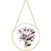 REDHUGO Cornice in vetro per fiori pressati, realizzata a mano, cornice galleggiante da appendere alla parete, in ottone, immagine rotonda con doppio vetro, cornice per fiori secchi, decorazione da