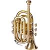 ONLIEST OVERSEAS Tromba tascabile in Sib con bocchino e custodia per il trasporto (oro)