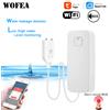 wofea Tuya Smart Sensore di perdite di inondazione Monitor remoto WiFi Rilevatore di livello di troppopieno d'acqua Sensore di perdite d'acqua Sistema di allarme sonoro di sicurezza