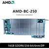 XINRENCHONG Scheda grafica AMD BC 250 nuova di zecca, 16GB GDDR6 256-bit, scheda singola GPU, per PC desktop