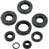 R4R T4TUNE 082105 KIT PARAOLI COMPATIBILE CON MINARELLI AM6 8 PZ.