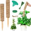 Vicloon Bastone per Piante, 2Pcs Piante Rampicanti Bastone, Stecche per Pianti 30cm, Palo Totem in Fibra di Cocco, Tutore per Pianti, Muschio Totem per Rampicante Estensione