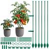 oeeo 6 Supporti per Piante, regolabile 30-90 cm pali per pomodori,con 3 connettori e 6 clip di farfallo Rankhilfe piante da camera, per cucumbri, orchidee, fagioli,sostegni per pomodori (37PCS)