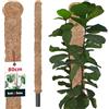 KOTARBAU® Tutori per Piante - ⌀ 3,2 x 80 cm - Palo di Muschio per Monstera - Fibra di Cocco - Palo per Piante - Marrone - Stecche di Supporto - Bastone Fibra di Cocco