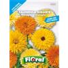 L'ORTOLANO Sementi da fiore di qualità in bustina per uso amatoriale (CALENDULA GIGANTE DOPPIA IN MISCUGLIO)