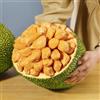 Generic semi di jackfruit - jackfruit - balcone resistente, all'esterno sapote, resistenti 60pcs