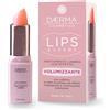 Daerma Lips Expert Volumizzante Rosa 1 pz Protezione per le labbra