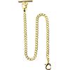 Alwesam Albert - Catena per orologio da taschino, con barra a T, antica, a forma di T, 35,5 cm, maglia singola, Oro, Antico