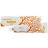 CEMON Srl ARNICA CREMA GEL 60ML CEMON