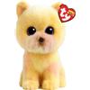 TY Beanie Babies - Beanie Boos, Palmer il Pomeranian con Occhi Viola Grandi e Glitter, il Peluche con gli Occhi Grandi Scintillanti - 15 Cm - T37407