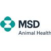 MSD ANIMAL HEALTH Srl VETPEN Aghi 29g/12mm 100pz
