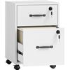 HOMCOM Schedario da Ufficio con 2 Cassetti, Ruote a Freno, Cassettiera Scrivania per Lettera/Formato A4, 40x40x54.1 cm, Bianco | Aosom Italy