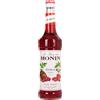 Monin - Sciroppo Lampone 0,70 L