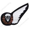 WW2 British RAF PARACADUTE SALTO ISTRUTTORE WING VOLANTE DISTINTIVO FIGURINE