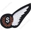 WW2 British Flying distintivo RAF SEGNALATORI WING SEGNALI Unit? TOPPA Brevet