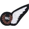 WW2 British RAF WAG senza fili OPERATORE / air gunner WING VOLANTE DISTINTIVO