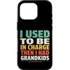 Grandkids In Charge Funny Grandpa Retire Custodia per iPhone 16 Pro Avevo il comando e poi ho avuto i nipoti