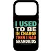 Grandkids In Charge Funny Grandpa Retire Custodia per iPhone 17 Pro Avevo il comando e poi ho avuto i nipoti