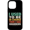 Grandkids In Charge Funny Grandpa Retire Custodia per iPhone 14 Pro Max Avevo il comando e poi ho avuto i nipoti
