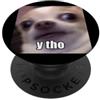 Cute Dog Funny Chihuahua Art Graphic Spa Y Tho Divertente Chihuahua Cane Sfocato Meme Spagnolo PopSockets PopGrip Adesivo