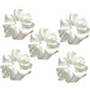 Hohopeti Set 5 Elastici per Chioma in Raso di Seta Bianco Accessori per Chioma da Donna e Bambina Elastici per Coda di Cavallo per Feste di Matrimonio e Uso Quotidiano