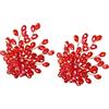 OFFSCH Clip Decorativi per Scarpe da Sposa Cristallo Rosso 2 Pezzi | Gioiello Clip Scarpe Donna, Fine Workmanship, per Gatherings e Molte Occasioni