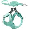 HANABASS Guinzaglio Per Resistente All Usura Pettorina Portatile Per Guinzaglio Per Da Casa Design Flat Rope Antirullante Facile Da Riporre e Utilizzare Mano