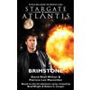 David Niall Wilson Patricia Macomber Stargate Atlantis: Brimstone (Tascabile)