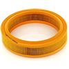 BOSCH Filtro aria 1457429920