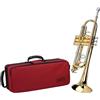 Alysee TR-6333 Tromba Sib Gold Tromba in Sib finitura oro con custodia
