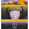 Sounds True [(Native American Healing Meditations: Guided Practices to Invoke the Spirit of Healing)] [Author: Lewis Mehl-Madrona] published on (July, 2011)