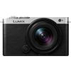 Panasonic Lumix S9 + 18-40mm f/4.5-6.3 - Silver