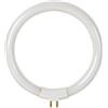 Velleman Tubo Fluorescente Circolare 12W/T4 Per Vtlamp8