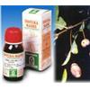 specchiasol Sp.fucus vesic.tm 50ml