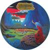AMPED Endless Skies (Picture disc Vinyl LP)